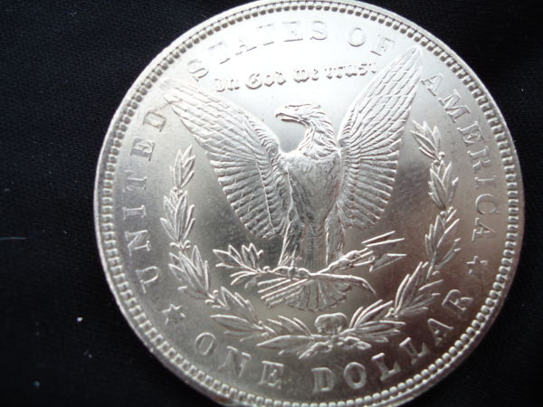 Couple-New-Morgans