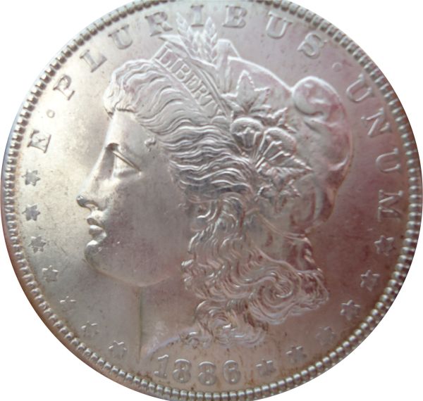 Couple-New-Morgans