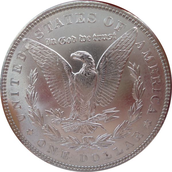 Couple-New-Morgans