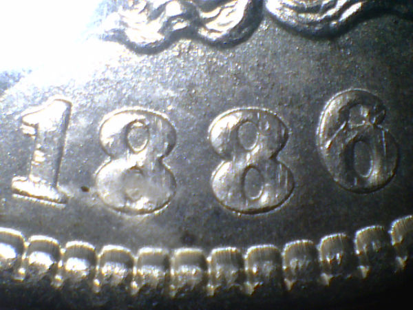 Couple-New-Morgans..