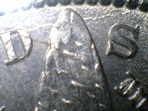 Couple-New-Morgans..