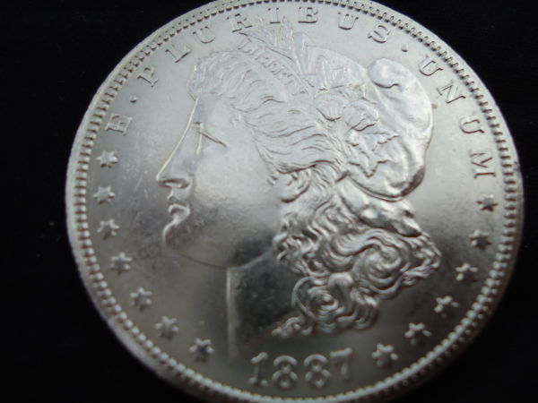 Couple-New-Morgans