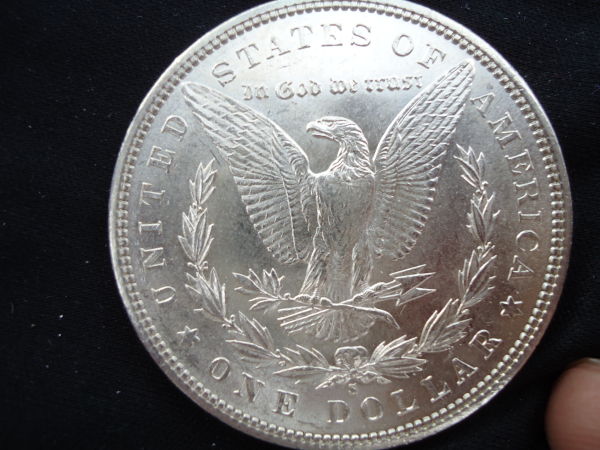 Couple-New-Morgans