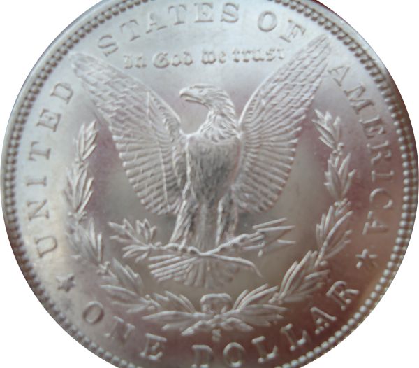 Couple-New-Morgans