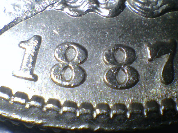 Couple-New-Morgans..