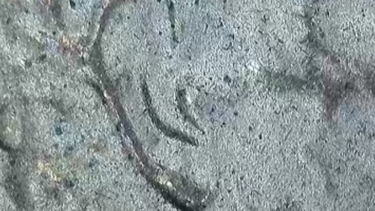 1984-D-Penny-DDO-/-DDR