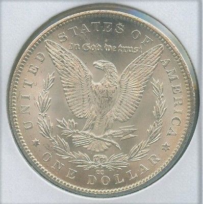 1884-CC-Morgan-Silver-Dollar-Opinion-On-Grade