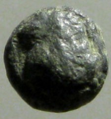 Ancient-Coin---Turtle-Stater?