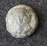Ancient-Coin---Turtle-Stater?