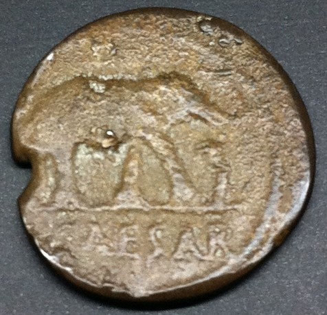 Silver-Elephant-Denarius-Of-Julius-Caesar--Authentic-Or-Fake