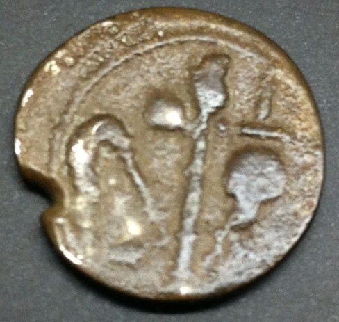 Silver-Elephant-Denarius-Of-Julius-Caesar--Authentic-Or-Fake