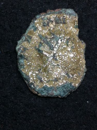 Could-This-Be-Domitianus?