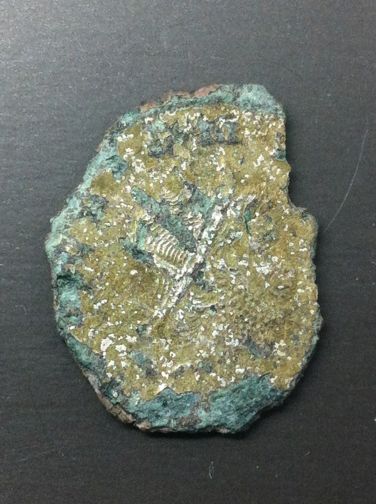 Could-This-Be-Domitianus?