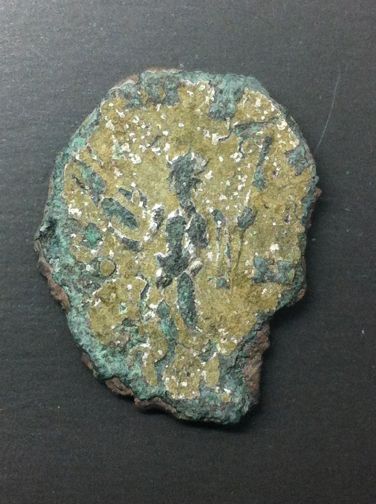 Could-This-Be-Domitianus?