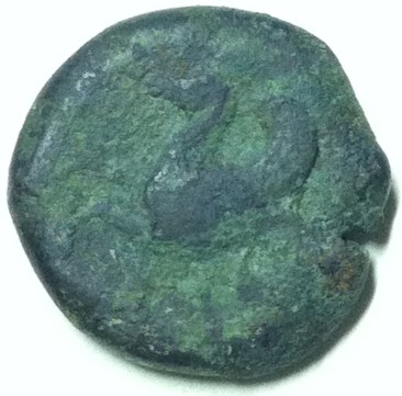 Ancient-Greek,-Himera?-May-I-Have-Help-To-Identify-Please?