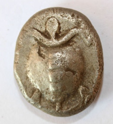 Aegina-Turtle---What-Do-You-Think?