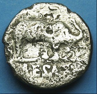Beautiful-Julius-Caesar-Coin---Look-At-It-Now.