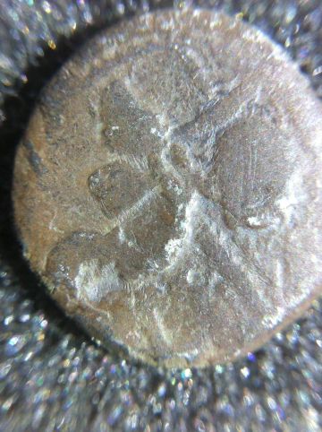 Has-This-Coin-Been-Varnished-Or-Another-Coating---Removal?