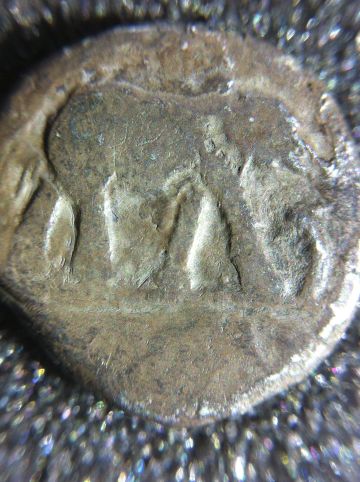 Has-This-Coin-Been-Varnished-Or-Another-Coating---Removal?