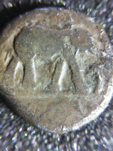 Has-This-Coin-Been-Varnished-Or-Another-Coating---Removal?