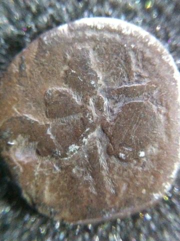 Has-This-Coin-Been-Varnished-Or-Another-Coating---Removal?