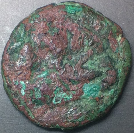 Large-Bronze-Coin-For-ID---What-Can-You-See?