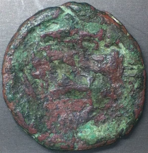 Large-Bronze-Coin-For-ID---What-Can-You-See?