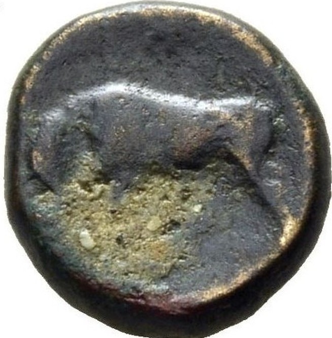 Selinos-Litra:-This-Tiny-Coin-Has-It-All
