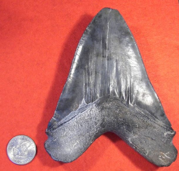 Post-Your-Artifacts/Antiquities