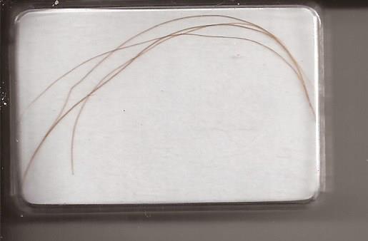Post-Your-Artifacts/Antiquities