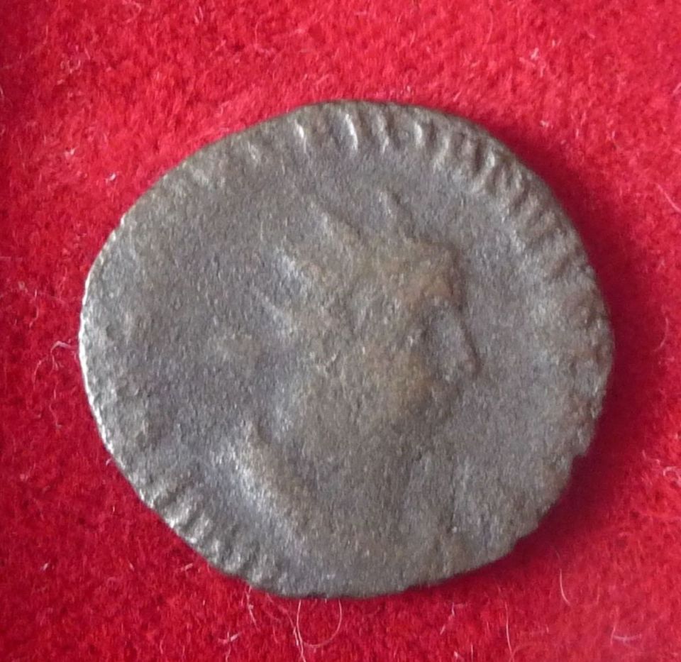 Aurelian-Or-Valerian?-Help,-Please?