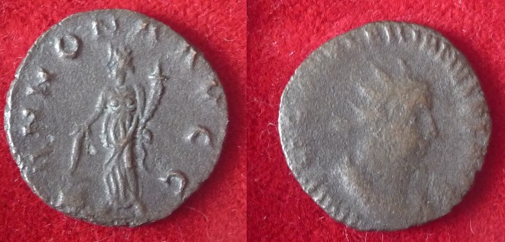 Aurelian-Or-Valerian?-Help,-Please?