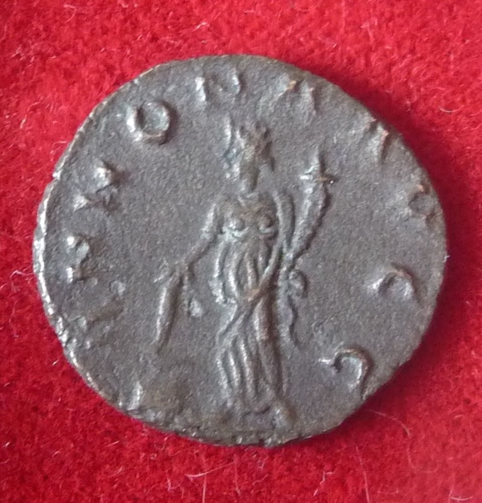 Aurelian-Or-Valerian?-Help,-Please?
