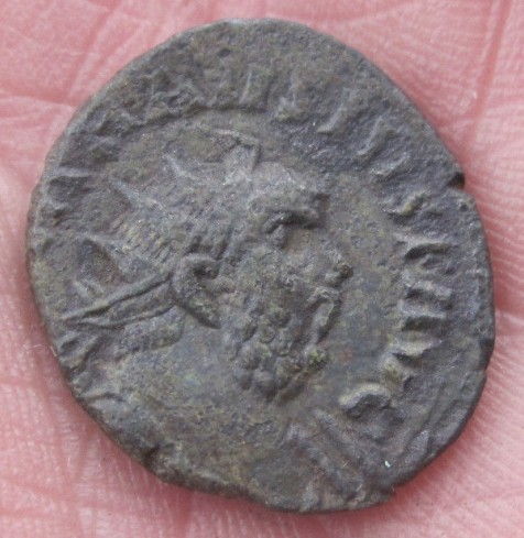 I-Missed-This-'Carausius'-On-Ebay---Can-Anyone-Attribute-It?