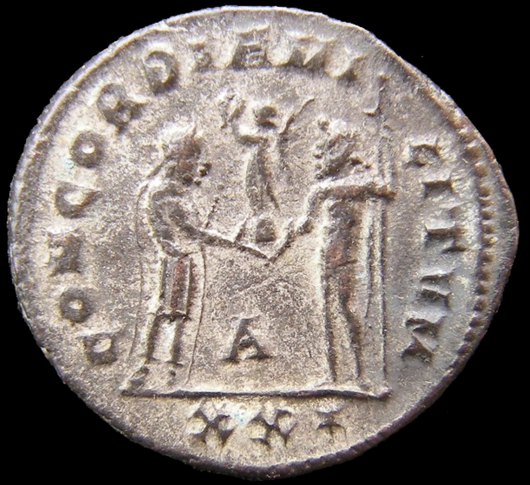 Diocletian---Do-I-Have-The-Reference-Right?