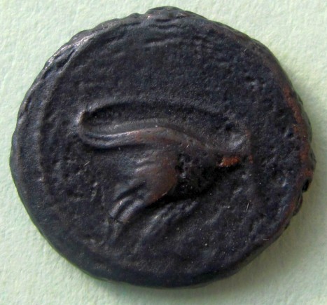 Roman-Coin---Winged-Pegasus-/-Winged-Cadeus-?