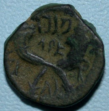 Nabatean-Coins---Recent-Purchase