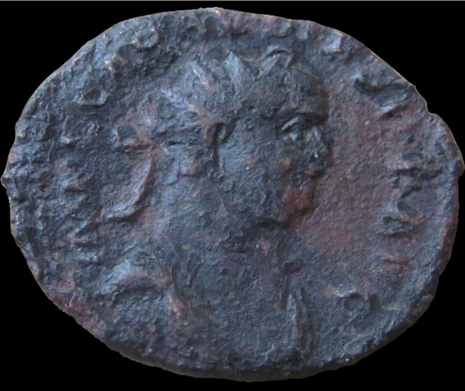 Carausius-X2-----Help-Needed,-Please.