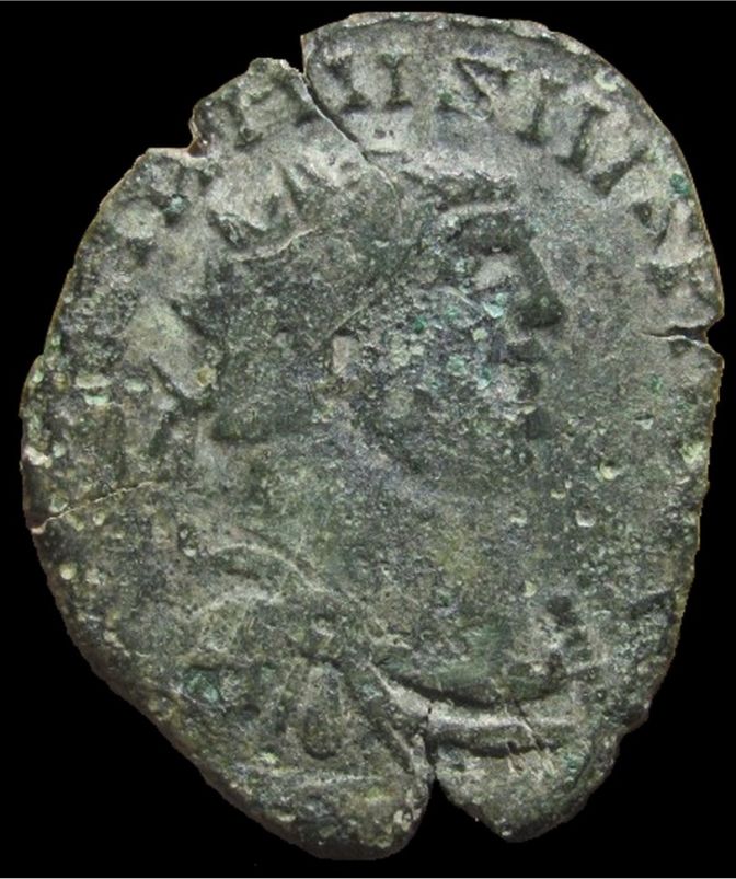 Carausius-X2-----Help-Needed,-Please.