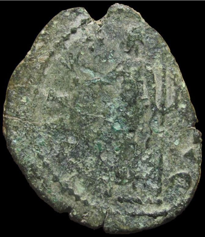 Carausius-X2-----Help-Needed,-Please.