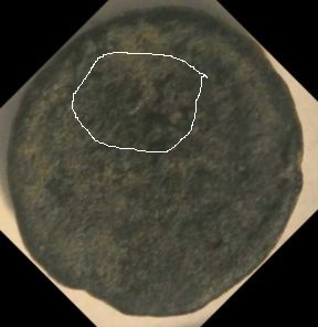 Have-I-Id'd-This-Coin-Correctly