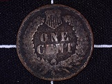 1901-Indian---In-A-Roll-Of-Pennies