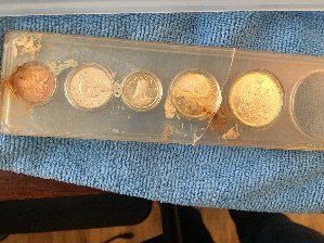 Newbie-Cleaning-Question...