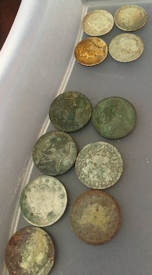 Newbie-Cleaning-Question...