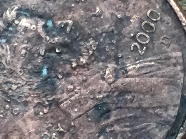Interesting-Pennies-Maybe?
