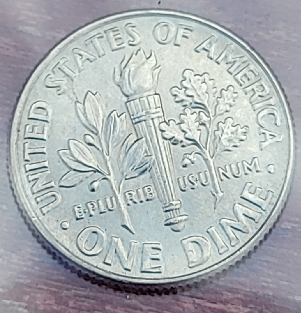 Error-2015-Dime-Is-It-Worth-Grading-Or-Not