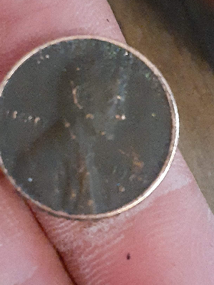1974-D-Penny-Question---Error-Maybe?
