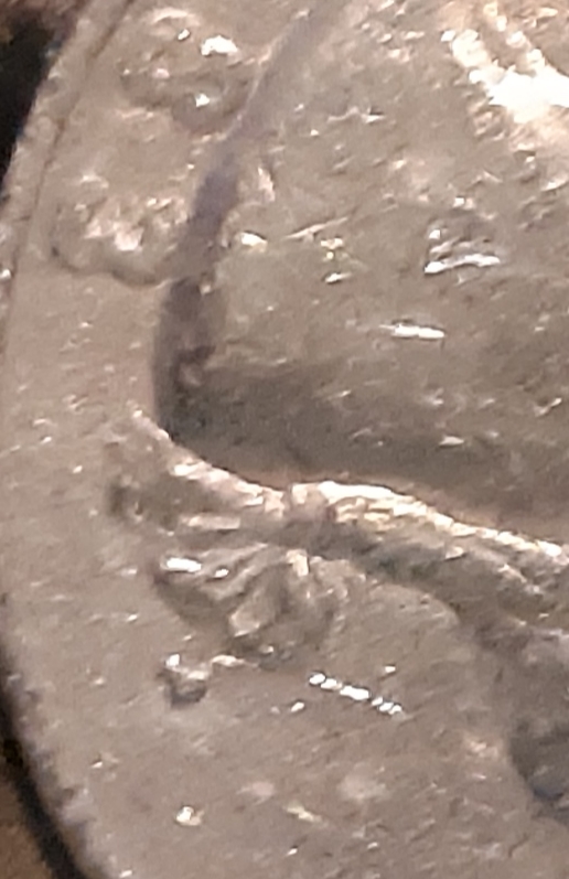How-About-Quarters,-Any-Special-Dates?