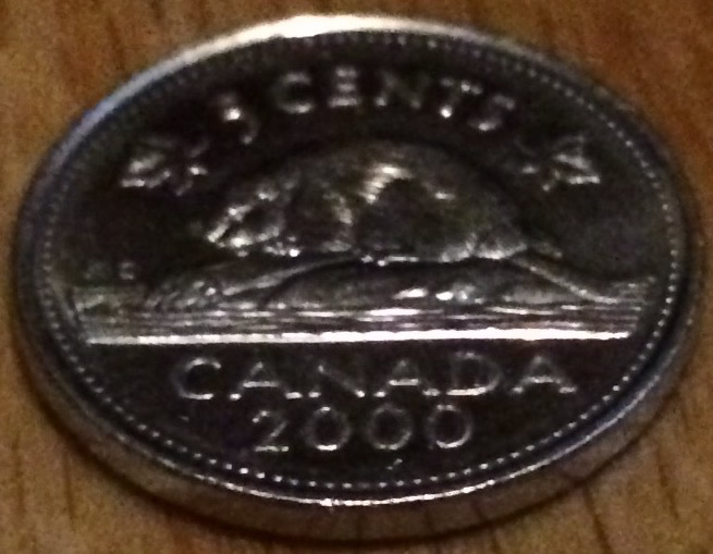 Rare-2000-5-Cent-Multi-Ply-Plated-Steel-For-Grading