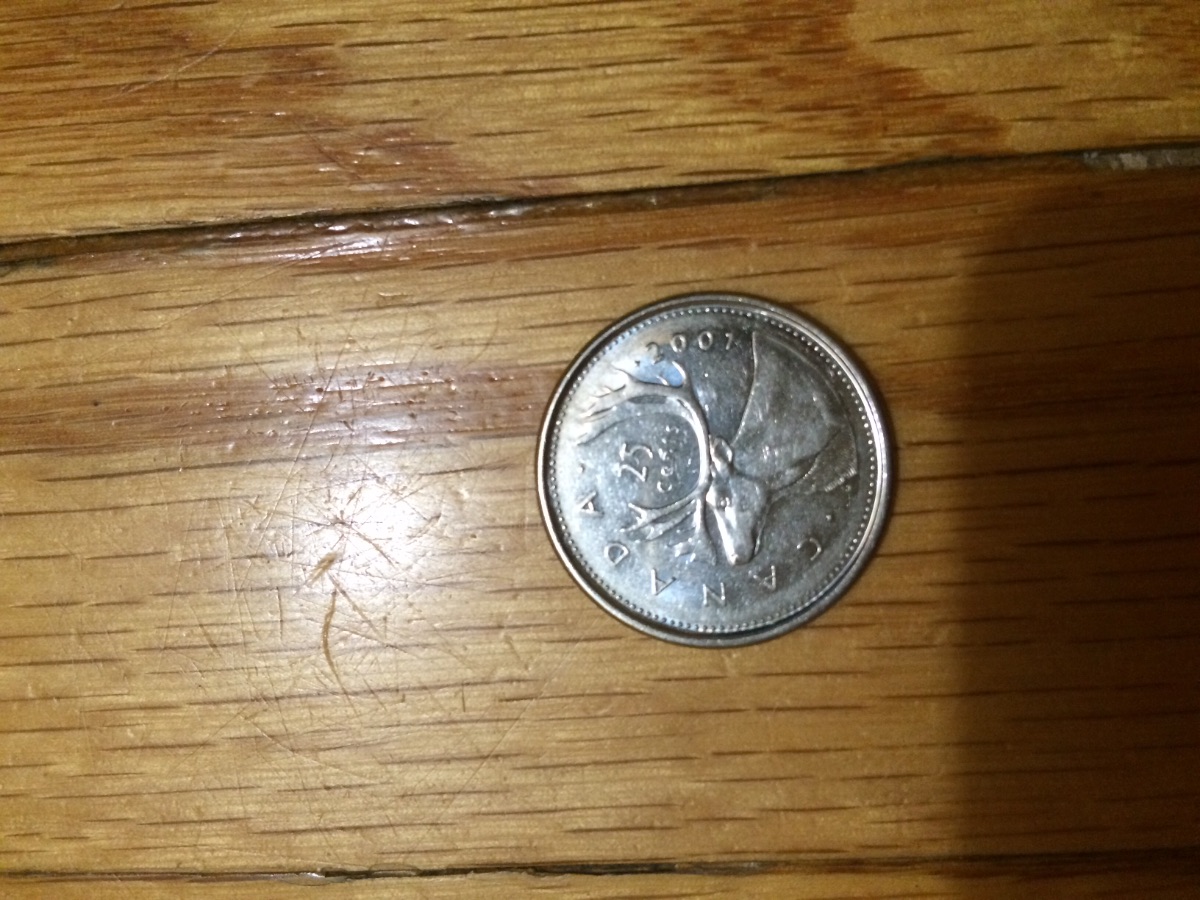 Almost-Mint-Condition-From-Coin-Roll-2001-P-25-Cents